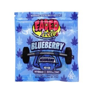 Faded Fruits Blueberry Headband